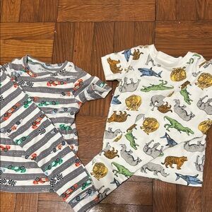Colorful Animal and Car Print Pajama Set